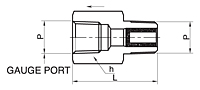 GS Series Snubber Fittings