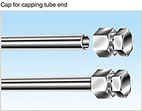 Cap for capping tube end