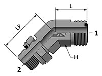 HDLBM-GP with Ends