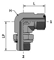 HDLM-MP with Ends