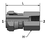 HDSCF-N with Ends_2