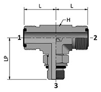 HDTBM-MPH with Ends