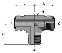 HDTBM-N with Ends