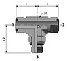 HDTBM-MPH with Ends